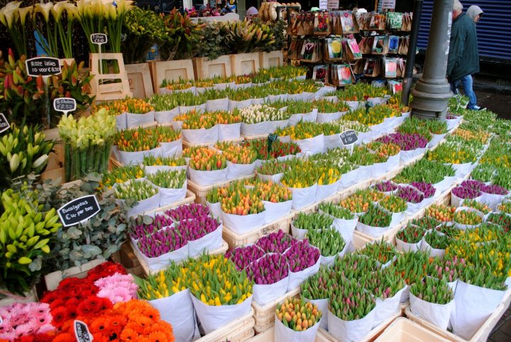 Цветочный рынок Амстердама