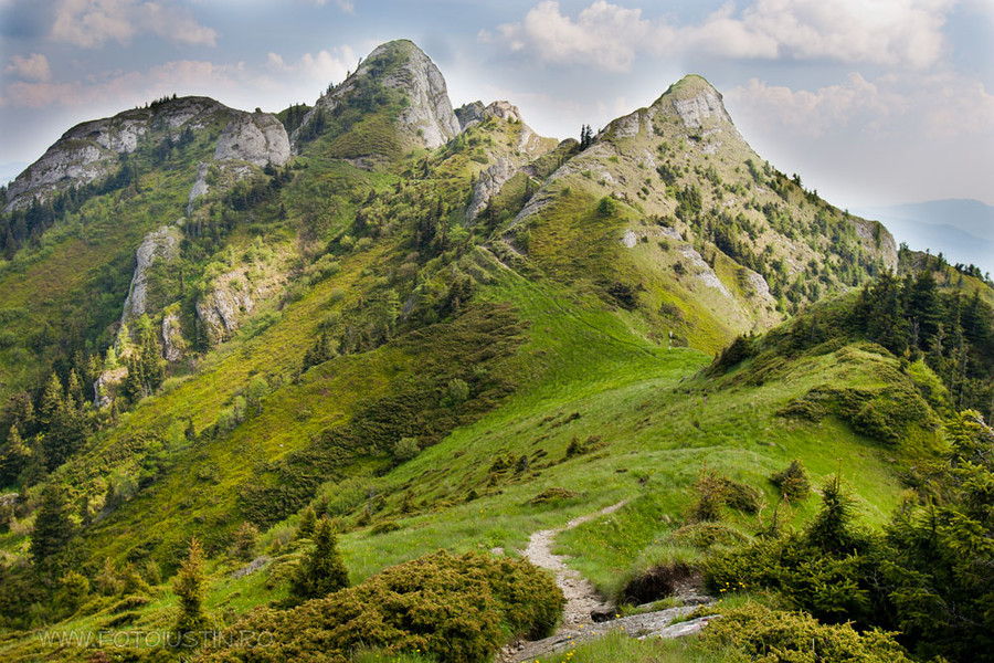 Словения Карпаты